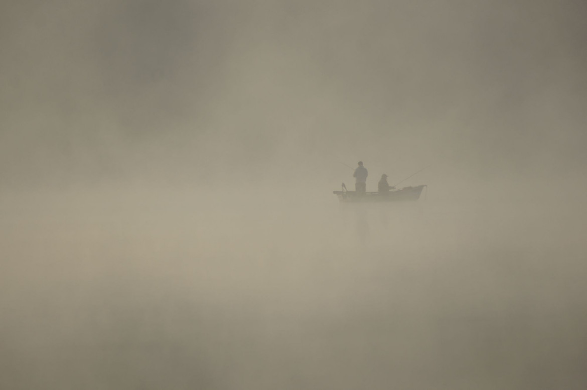 Wyróżnienie w kat. "Najlepsza fotografia" – Mariusz Machnik za zdjęcie z cyklu „Paprocany we mgle”