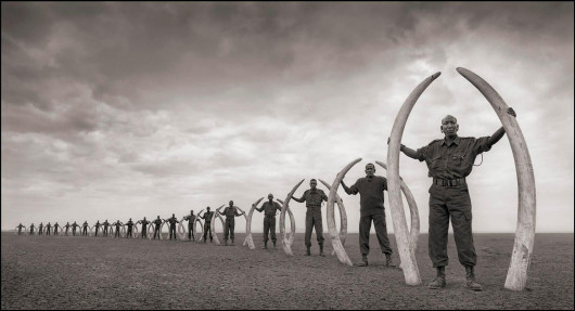 fot. Nick Brandt