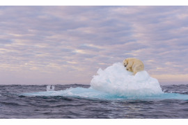 fot. Marek Jackowski, nominacja w kat. Nature, "The Last Iceberg"