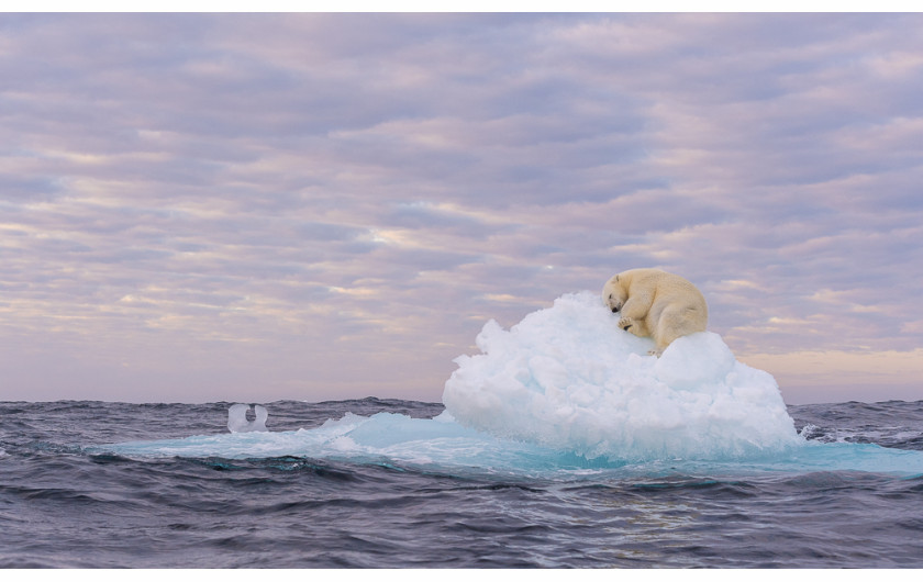 fot. Marek Jackowski, nominacja w kat. Nature, The Last Iceberg
