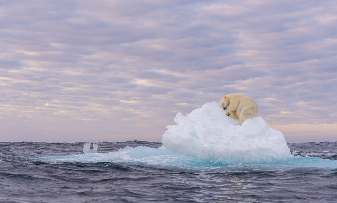 fot. Marek Jackowski, nominacja w kat. Nature, "The Last Iceberg"