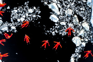 Wyniki Drone Photo Awards 2024 - Polacy wśród zwycięzców