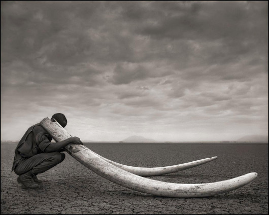 fot. Nick Brandt