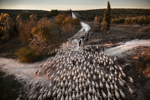 Siena International Photo Awards 2019 - kilkoro Polaków z wyróżnieniami