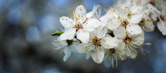Adobe Lightroom w małym palcu – kadrowanie na 7 sposobów