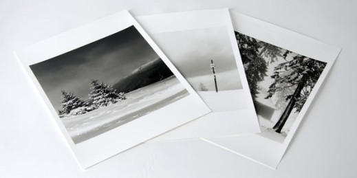 Zmiana warty. Ilford Multigrade FB Classic - test papieru