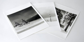Zmiana warty. Ilford Multigrade FB Classic - test papieru