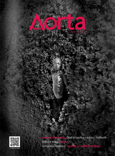 Aorta, nr 8