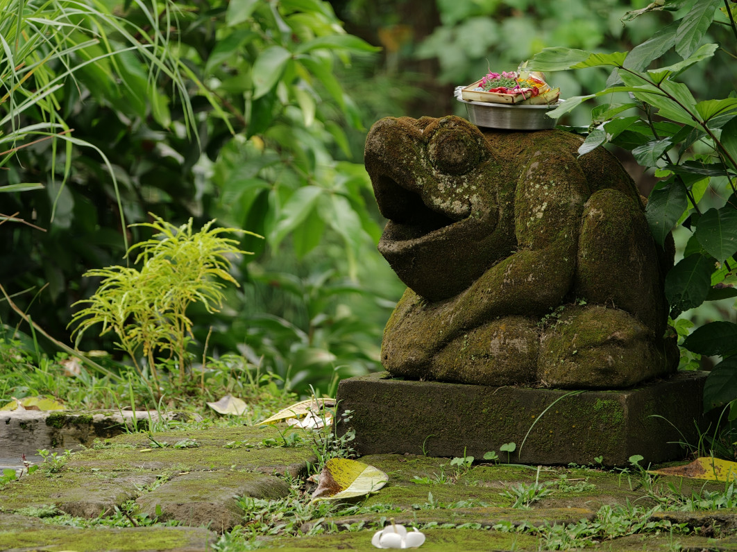 1/401 s, f/2.1, ISO 250, 16.5 mm