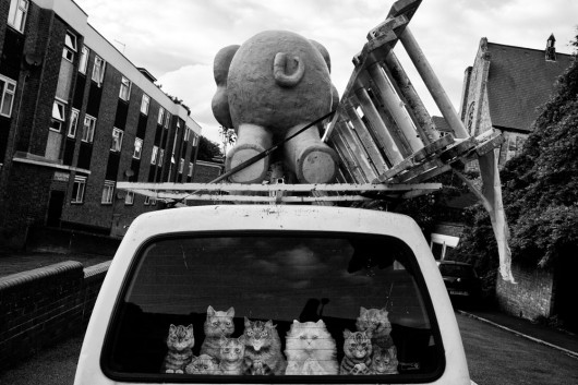 fot. Damian Chrobak