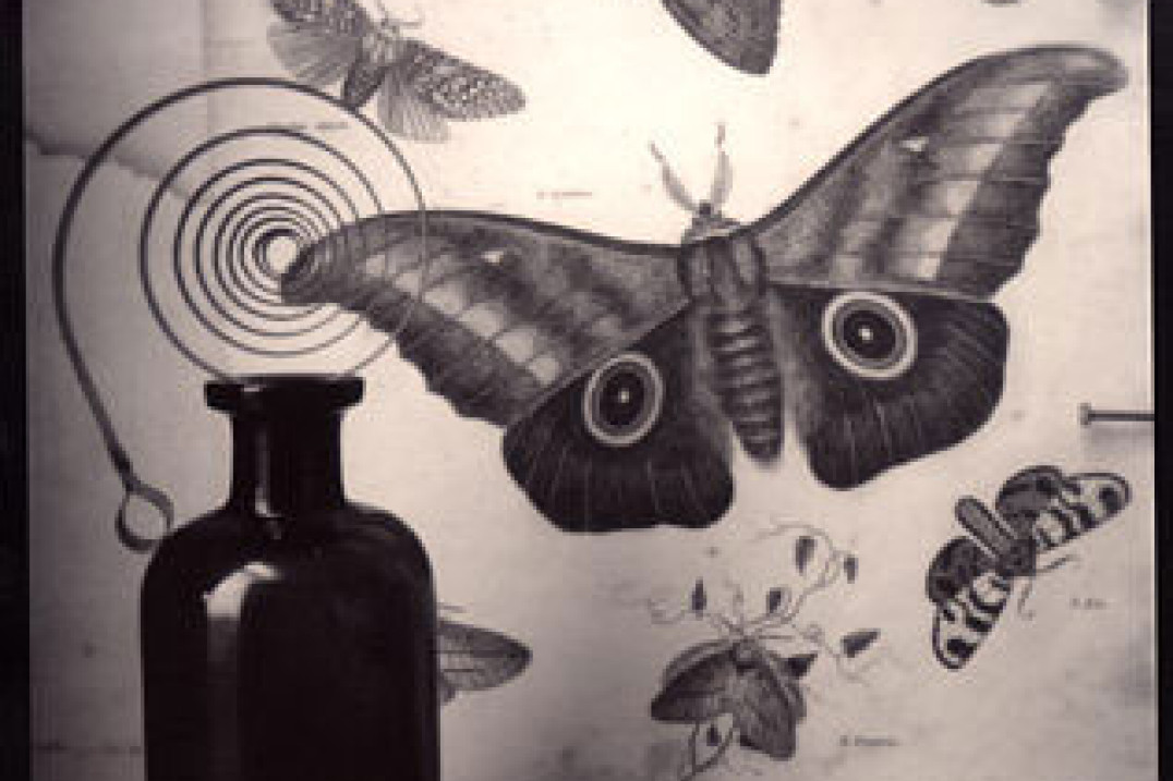 Jesseca Ferguson w Starej Galerii ZPAF