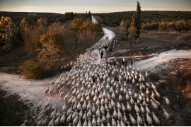 fot. Susana Giron,  I miejsce w kategorii "Journeys & Adventures" Siena International Photo Awards 2019