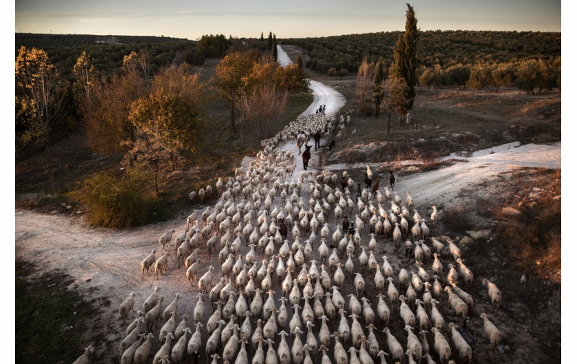 fot. Susana Giron,  I miejsce w kategorii Journeys & Adventures Siena International Photo Awards 2019