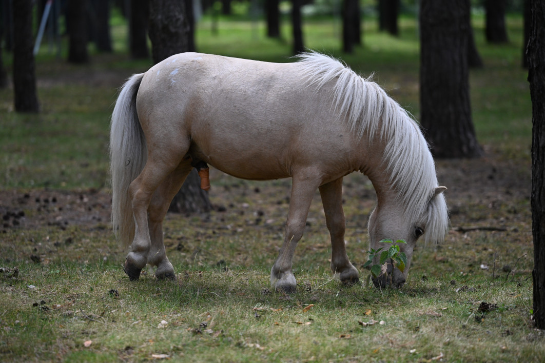 1/5000 s, f/2.8, ISO 800, 115.0 mm