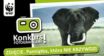 Konkurs "Pamiątka, która nie krzywdzi"