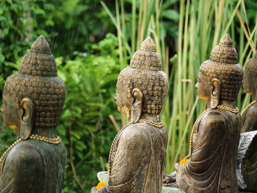 1/100 s, f/2.1, ISO 500, 16.5 mm