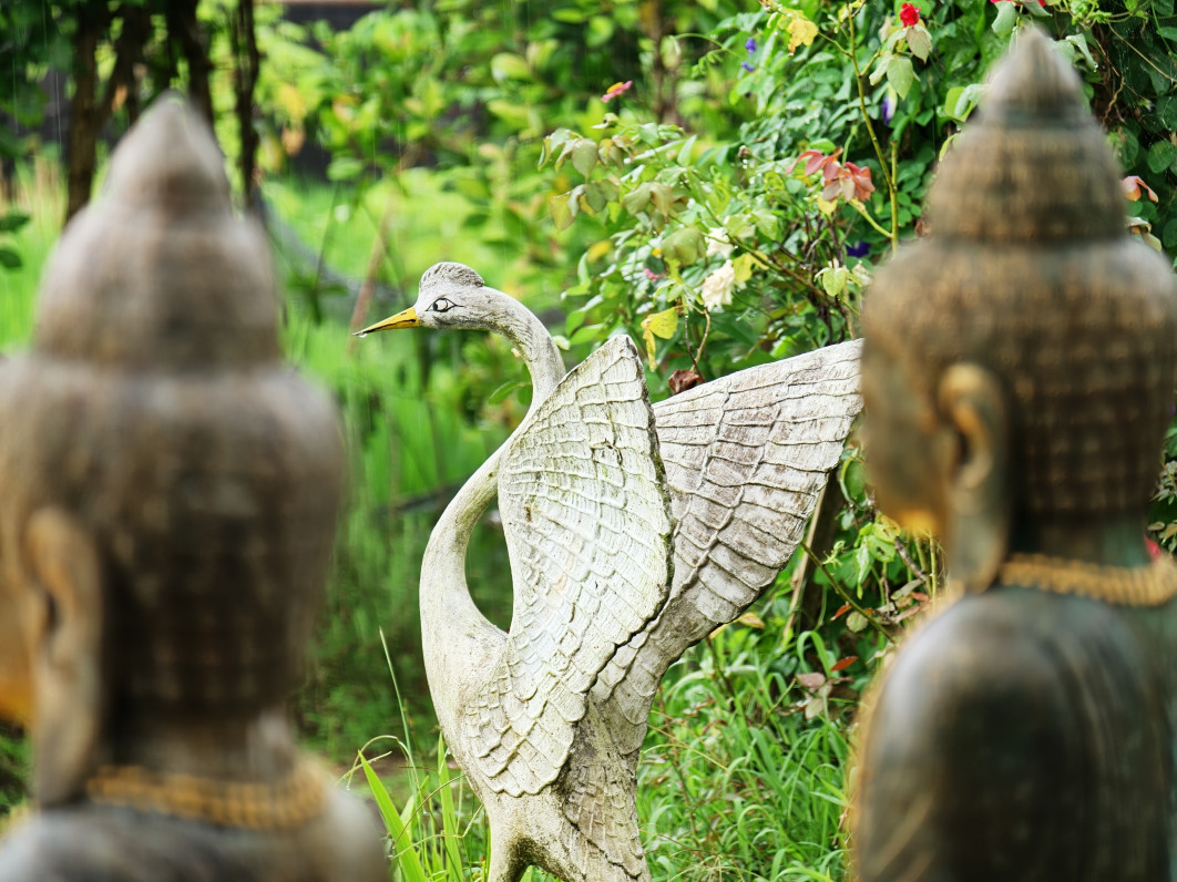 1/78 s, f/2.1, ISO 500, 16.5 mm