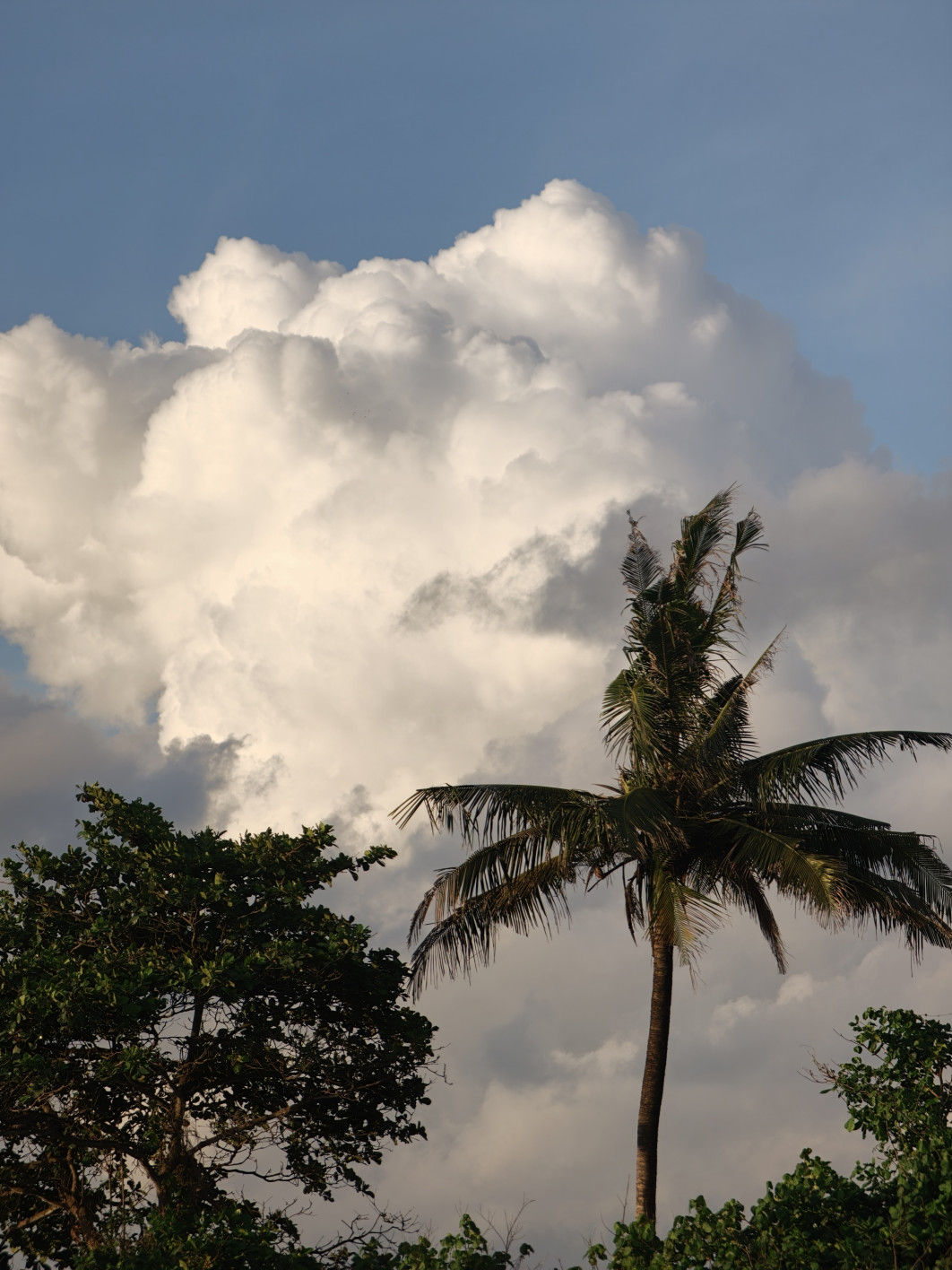 1/238 s, f/2.1, ISO 50, 16.5 mm