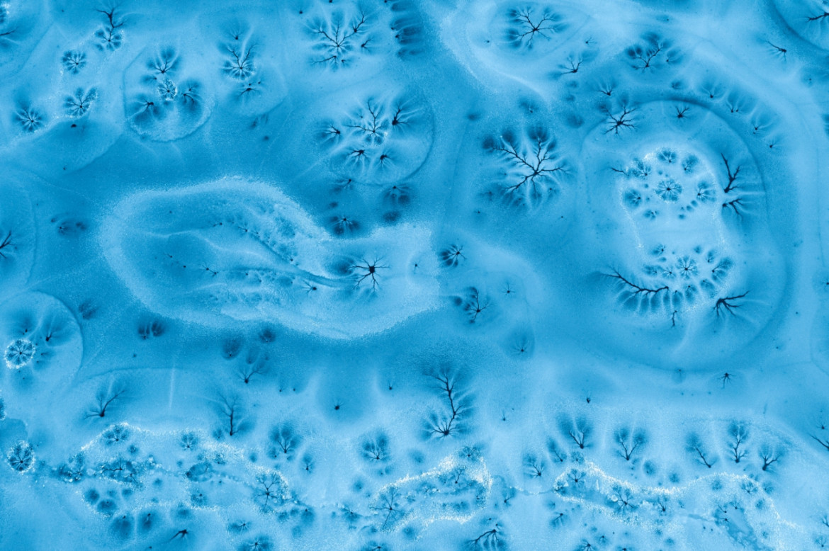 Fot. Barbara i Maciej Noskowscy, "Ice Fantasty", wyróżnienie w kat. Series / Drone Photo Awards 2024<br></br><br></br>Piękne wzory na zamarzniętych jeziorach odkryte w lutym są absolutnie fascynujące. Przypominające kwiaty, gałęzie, gwiazdy i abstrakcyjne kompozycje, te skomplikowane formacje można docenić tylko z góry. Późniejsze badania wykazały, że wzory te są w rzeczywistości dziurami utworzonymi przez roślinność w jeziorze - intrygujący pokaz sztuki naturalnej. Prezentuje on bogactwo surrealistycznych form i wzorów, ale uchwycenie ich na nizinach Europy Środkowej, gdzie zimy stają się łagodniejsze, okazuje się wyzwaniem. Nie każda zima oferuje odpowiednie warunki do manifestacji tych zjawisk.
