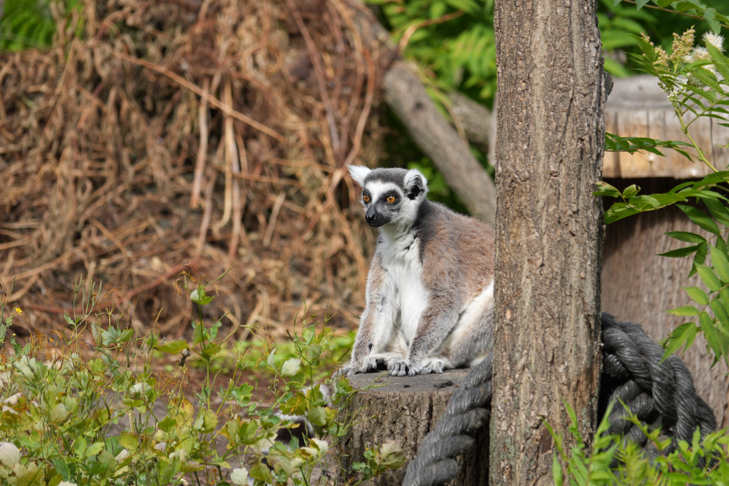 1/250 s, f/4, ISO 100, ogniskowa: 166 mm