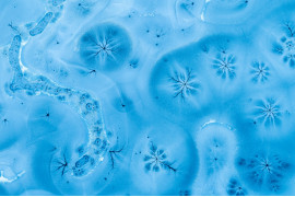 Fot. Barbara i Maciej Noskowscy, "Ice Fantasty", wyróżnienie w kat. Series / Drone Photo Awards 2024<br></br><br></br>Piękne wzory na zamarzniętych jeziorach odkryte w lutym są absolutnie fascynujące. Przypominające kwiaty, gałęzie, gwiazdy i abstrakcyjne kompozycje, te skomplikowane formacje można docenić tylko z góry. Późniejsze badania wykazały, że wzory te są w rzeczywistości dziurami utworzonymi przez roślinność w jeziorze - intrygujący pokaz sztuki naturalnej. Prezentuje on bogactwo surrealistycznych form i wzorów, ale uchwycenie ich na nizinach Europy Środkowej, gdzie zimy stają się łagodniejsze, okazuje się wyzwaniem. Nie każda zima oferuje odpowiednie warunki do manifestacji tych zjawisk.
