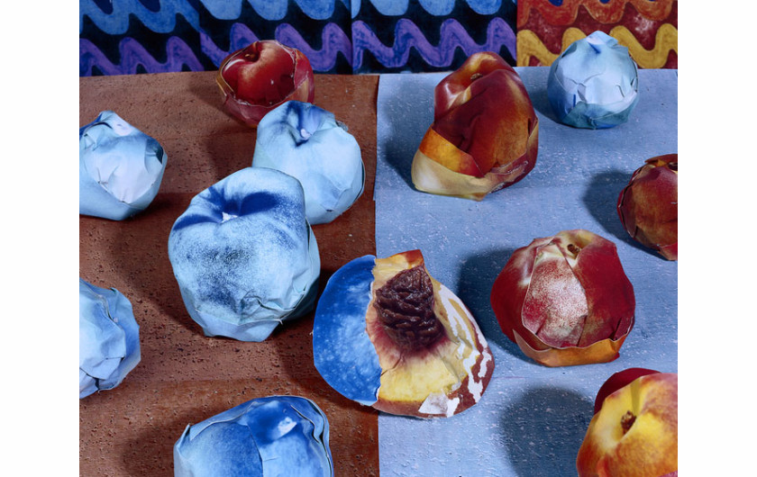 Nectarines in Orange and Blue, 24&#8221; x 30&#8221;, C-Print, 2011, dzięki uprzejmości artysty