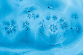 Fot. Barbara i Maciej Noskowscy, "Ice Fantasty", wyróżnienie w kat. Series / Drone Photo Awards 2024<br></br><br></br>Piękne wzory na zamarzniętych jeziorach odkryte w lutym są absolutnie fascynujące. Przypominające kwiaty, gałęzie, gwiazdy i abstrakcyjne kompozycje, te skomplikowane formacje można docenić tylko z góry. Późniejsze badania wykazały, że wzory te są w rzeczywistości dziurami utworzonymi przez roślinność w jeziorze - intrygujący pokaz sztuki naturalnej. Prezentuje on bogactwo surrealistycznych form i wzorów, ale uchwycenie ich na nizinach Europy Środkowej, gdzie zimy stają się łagodniejsze, okazuje się wyzwaniem. Nie każda zima oferuje odpowiednie warunki do manifestacji tych zjawisk.