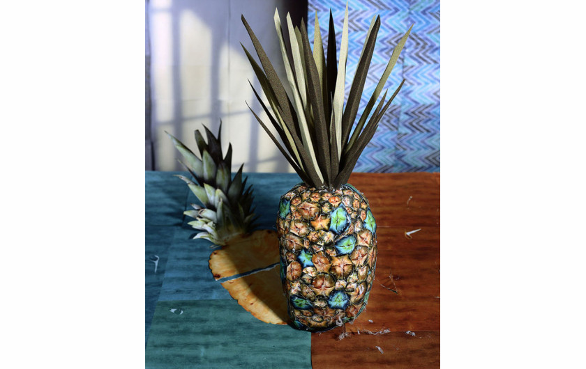 Pineapple, 30&#8221; x 24&#8221;, C-Print, 2011, dzięki uprzejmości artysty