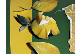 Lemons, 7&#8221; x 9&#8221;, C-Print, 2013, dzięki uprzejmości artysty