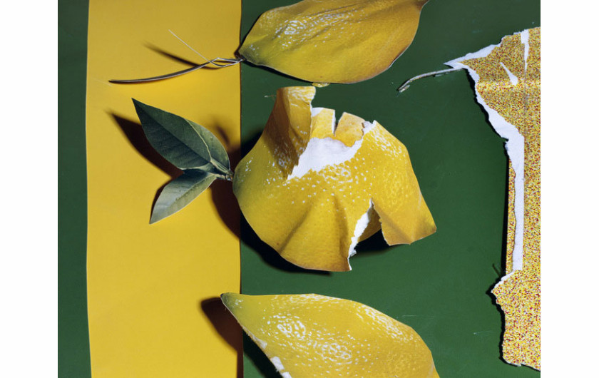 Lemons, 7&#8221; x 9&#8221;, C-Print, 2013, dzięki uprzejmości artysty