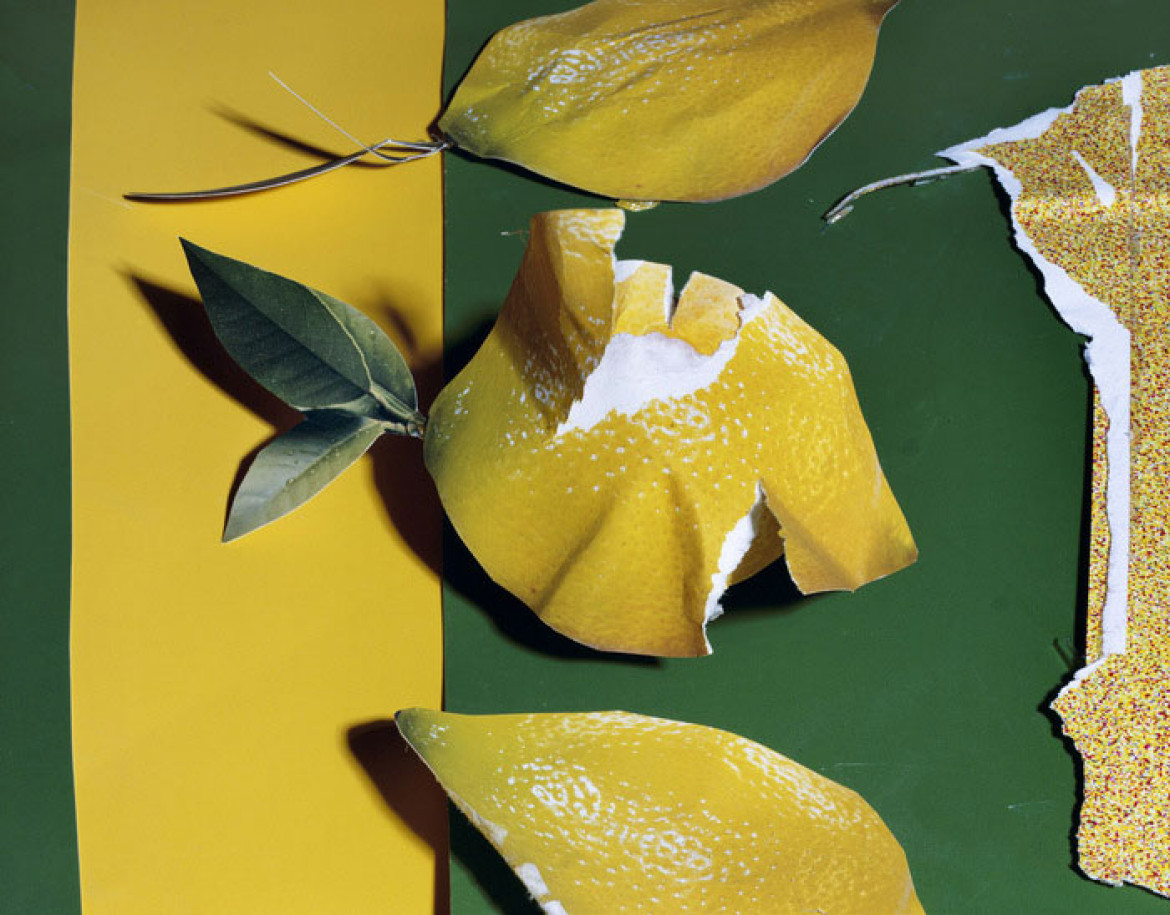 Lemons, 7&#8221; x 9&#8221;, C-Print, 2013, dzięki uprzejmości artysty