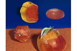 Oranges, 7&#8221; x 9&#8221;, C-Print, 2013, dzięki uprzejmości artysty