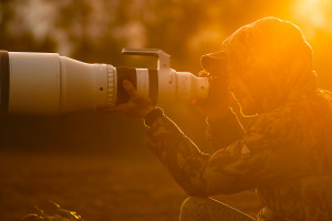 Sigma 300-600 mm f/4 DG OS Sports - opinia Wojciecha Sobiesiaka