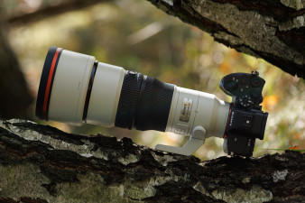 Sony FE 400 mm f/4.5 GM OSS - test praktyczny i zdjęcia przykładowe [+RAW do pobrania]