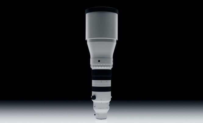 Sigma 300-600 mm f/4 DG OS Sports - pierwszy taki zoom do fotografii sportowej i przyrodniczej