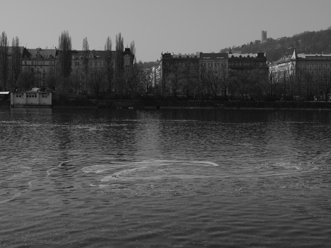 1/1500 s, f/4.5, ISO 160, (Crop 65 mm)