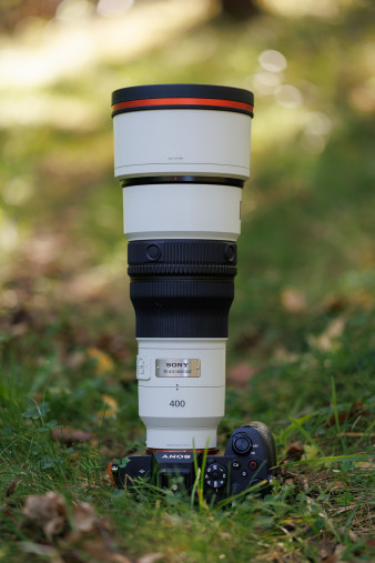 Sony FE 400 mm f/4.5 GM OSS - test praktyczny i zdjęcia przykładowe [+RAW do pobrania]
