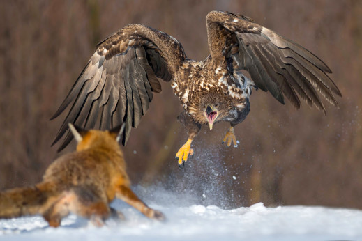 Ilu fotografów, tyle spojrzeń na świat. Oto zwycięskie zdjęcia z konkursu OKO