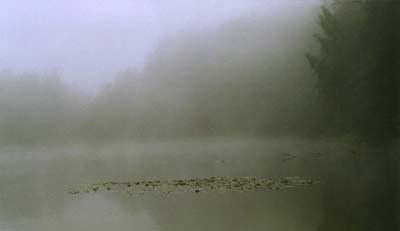 "Mazury z kokpitu"