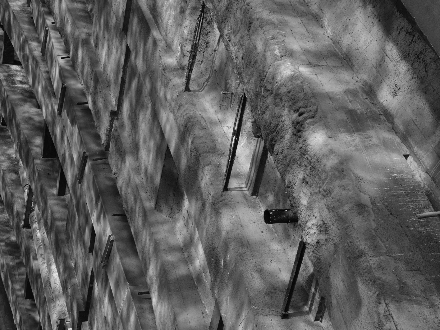 1/160 s, f/5.6, ISO 320, (Crop 65 mm)