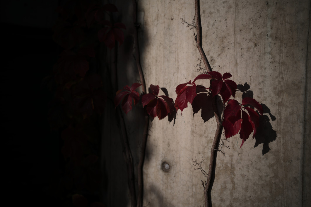 1/10000 s, f/, ISO 64, 35.0 mm