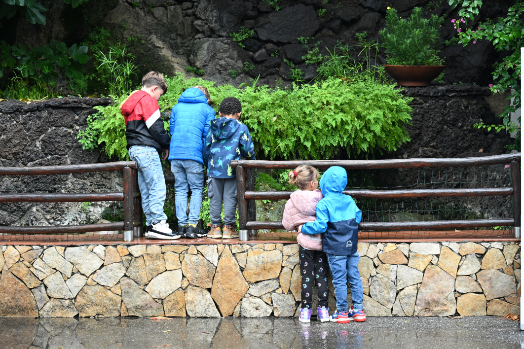 1/100 s, f/6.3, ISO 640, 89.0 mm