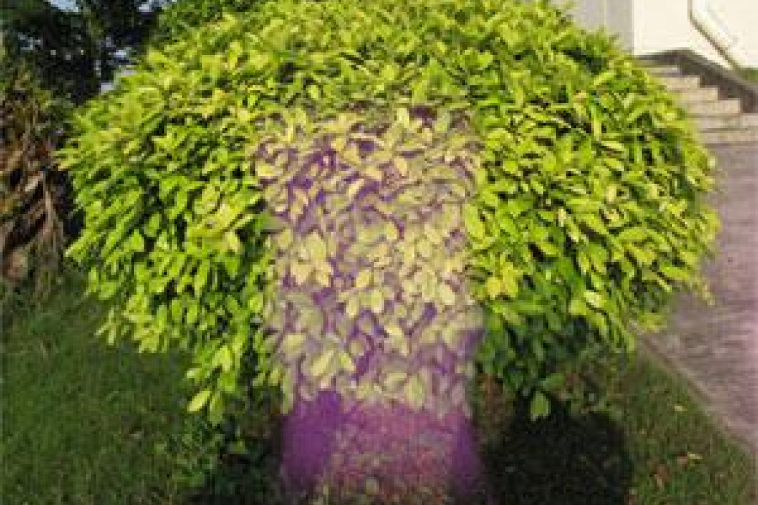 Canon A650 IS - sprawdź swój aparat