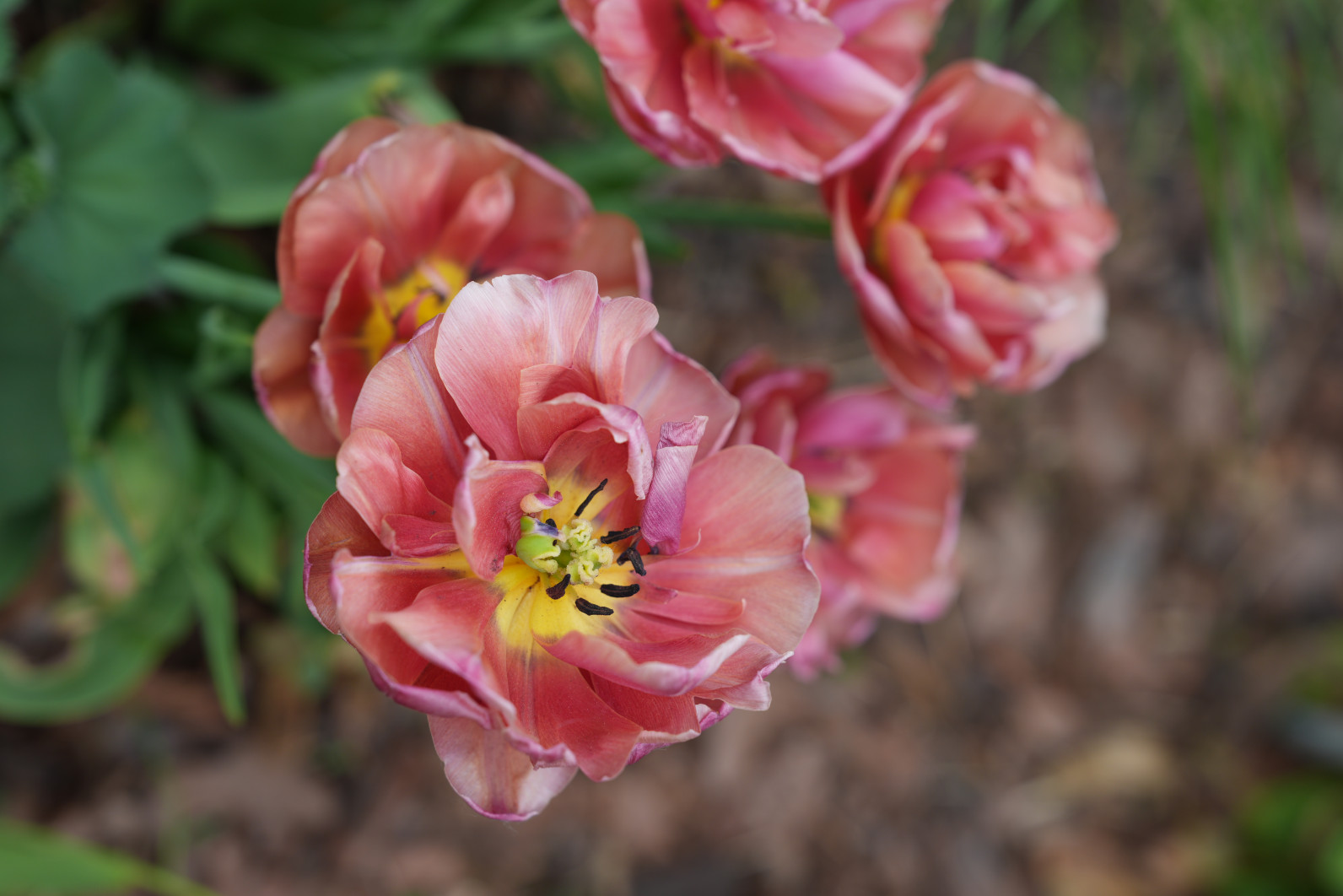 1/320 s, f/4, ISO 160, 70.0 mm