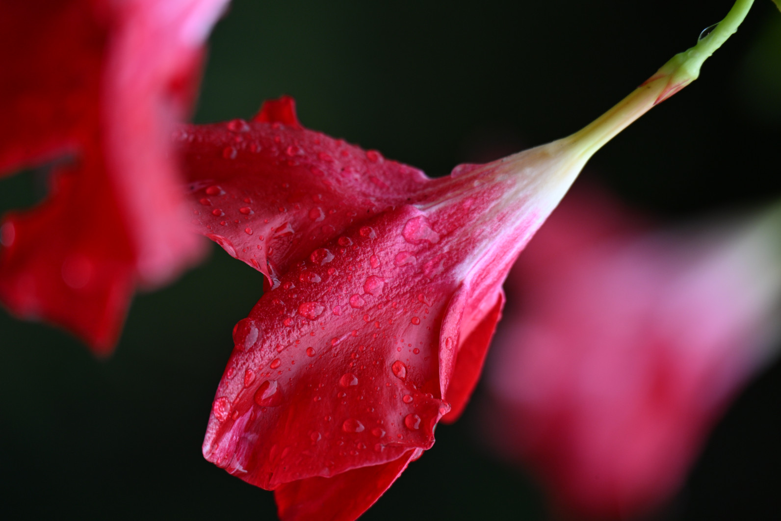 1/200 s, f/8, ISO 400, 400.0 mm