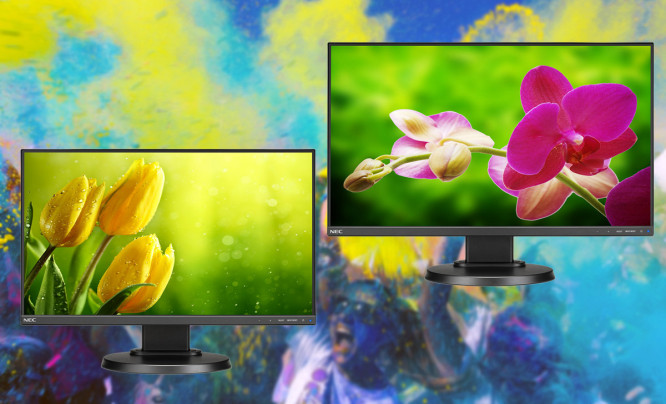 NEC Color Preset - budżetowa alternatywa dla monitorów fotograficznych