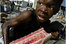 Wydarzenia, Shaul Schwarz, Izrael, Corbis. "Młody szabrownik", Port-au-Prince, Haiti, 27 lutego