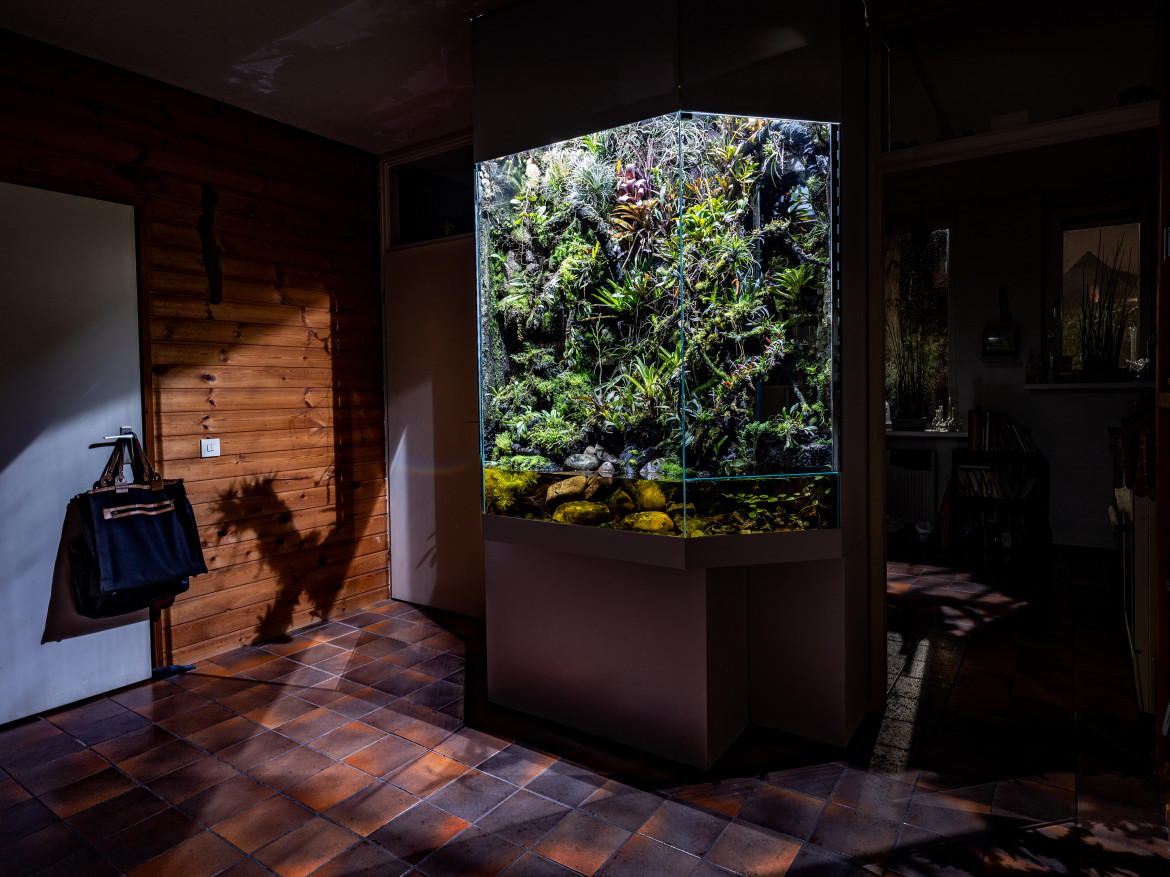 fot. Jaorritt Hoen, z cyklu "Parallel Universe", wyróżnienie w konkursie Zeiss Photography Awards 2020<br></br><br></br>Zainspirowana wielkimi odkryciami seria "Parallel Universe" ukazuje ezgotyczną faunę i florę w zaaranżowaną w zwykłych pokojach gościnnych.