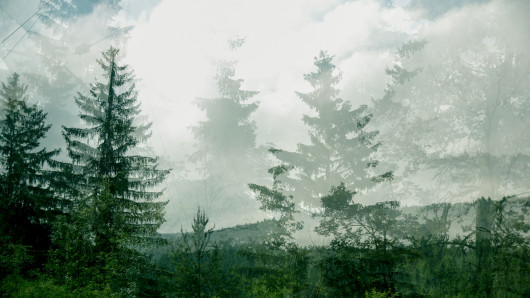 fot. Ina Jungmann
