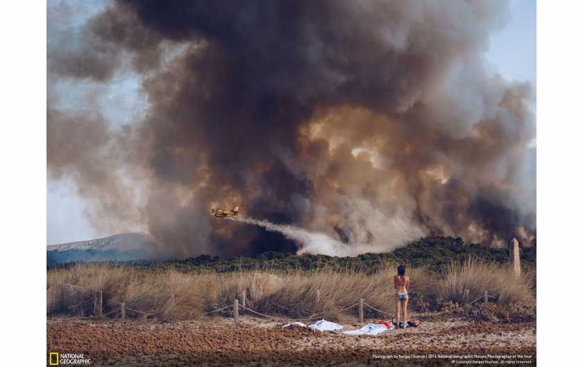 Wyróżnienie w kategorii Environmental Issues, fot. Sergej Chursyn, Wildfire at the Beach